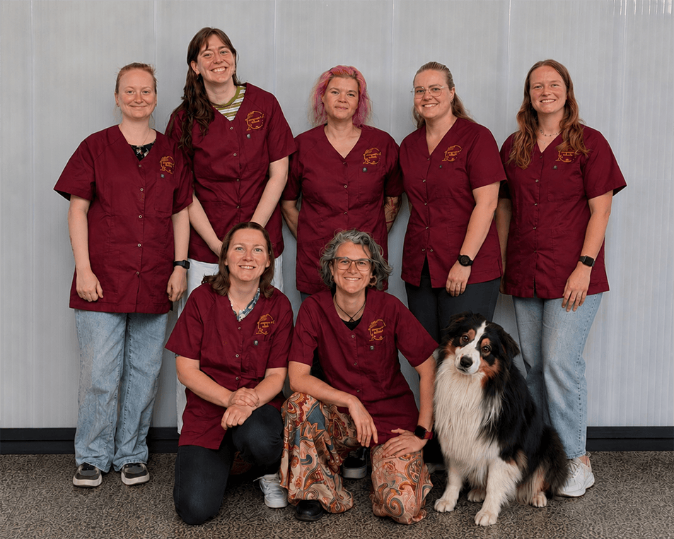 Het team van Dierenkliniek Nouki